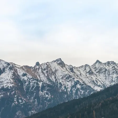 In Neukirchen With Mountain Views Lejlighed